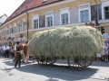 DSCN1841 * 2560 x 1920 * (1.62MB)