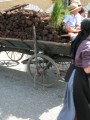 DSCN1926 * 1920 x 2560 * (1.56MB)
