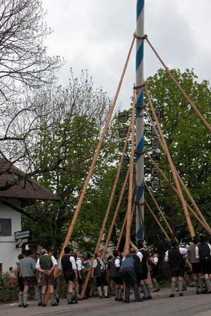 DSCN1317
