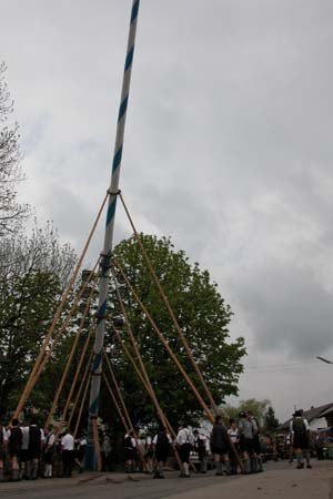DSCN1319
