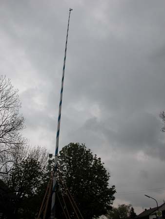 DSCN1346