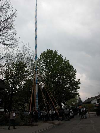 DSCN1351